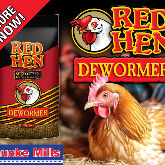 redhendewormer-940X788px-2.jpg